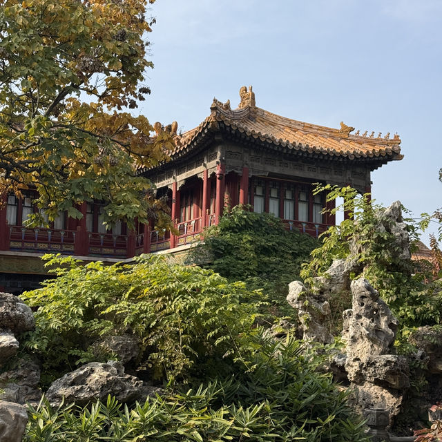A Walk Through Imperial Majesty: The Palace Museum Experience