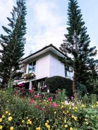ภูแก้ว รีสอร์ท ที่พักบรรยากาศสุดฟิน เขาค้อ🌲