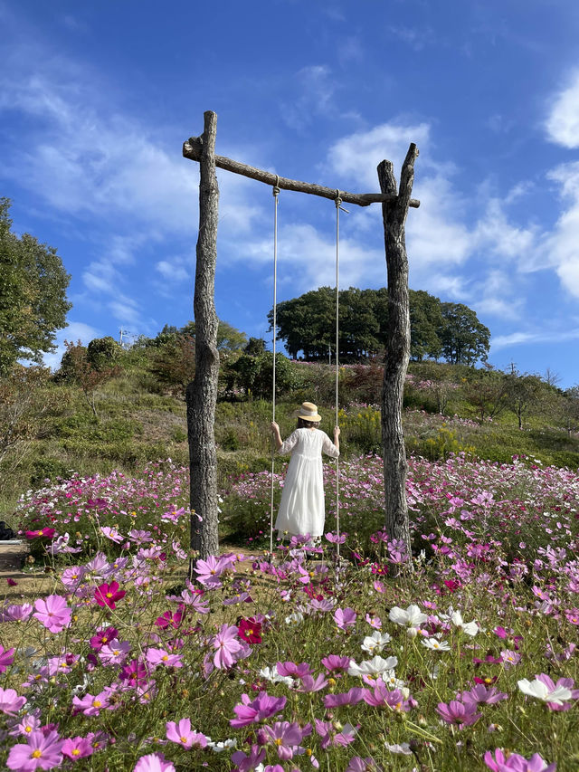 広島観光におすすめ☺️💐🌸百花繚乱🌼💐花の駅せら