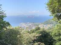 鋸山登山！