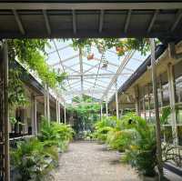 Discovering the Elegance of Mangkunegaran Palace