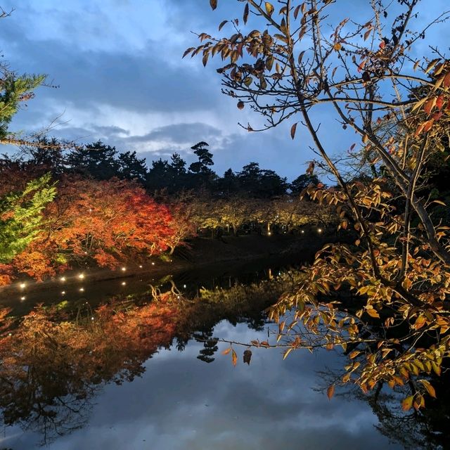 弘前城渡船賞夜楓，燈火楓紅醉是浪漫