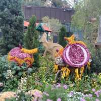Explore the beauty of Flowers Dome of Singapore Garden by the bay