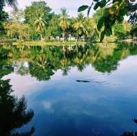 泰國曼谷著名城市綠洲公園景點:倫披尼公園，看野生大蜥蜴，城市湖泊美景，適合拍照打卡親子遊。