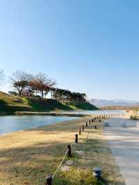 경북 경주 늦가을 여행 대릉원