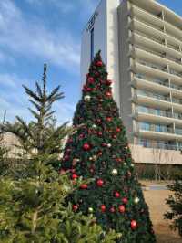 크리스마스에 진심인 경주호텔🎄