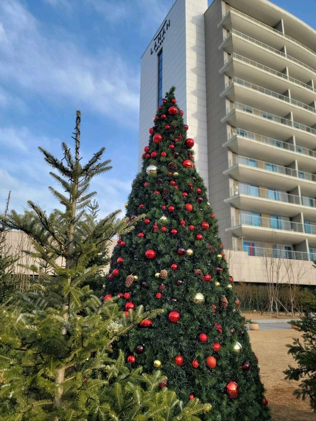 크리스마스에 진심인 경주호텔🎄