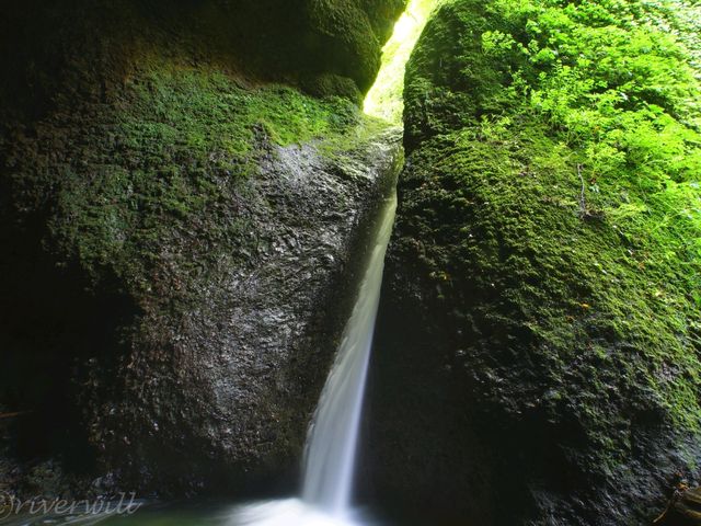 【兵庫県】兵庫の山奥にまさかの秘境滝！「シワガラの滝」