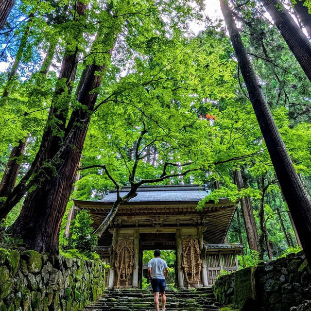Hyakusai-ji 