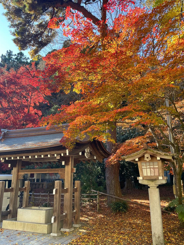 仙台観光におすすめ！切り絵御朱印がかわいい⛩️ 宮城縣護國神社