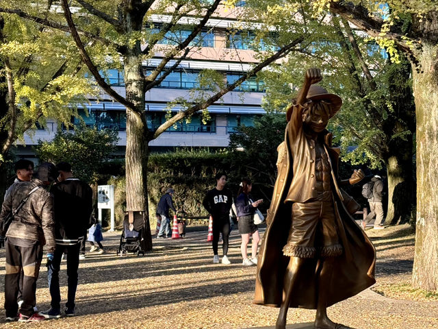 ยืนงงในดงแปะก๊วย Kumamoto