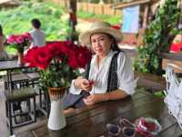 ยอดดอยม่อนแจ่ม Coffee