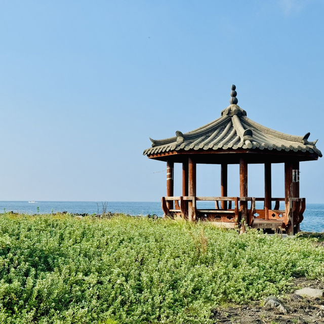 How to hike around Jeju 🇰🇷 🥾 