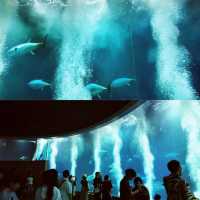 東京葛西臨海水族園