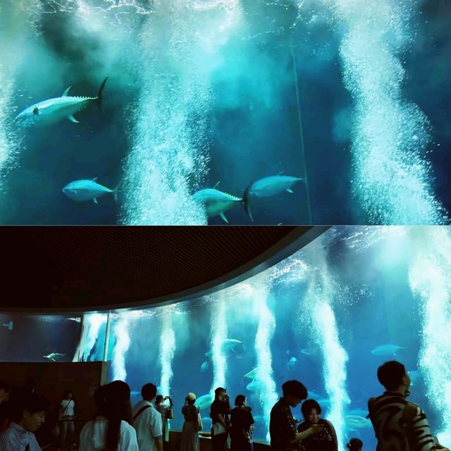 東京葛西臨海水族園