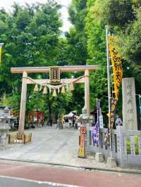 【東京】2025年初詣に行ってほしい!!最強神社はココ!!