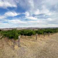 Roadtrip: 6-day of indulgence around South Australia 