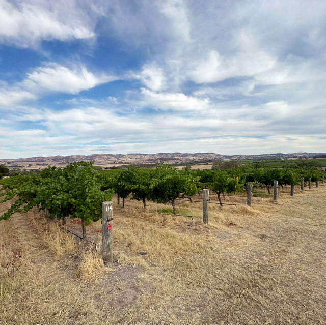 Roadtrip: 6-day of indulgence around South Australia 