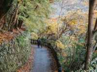 Arashiyama