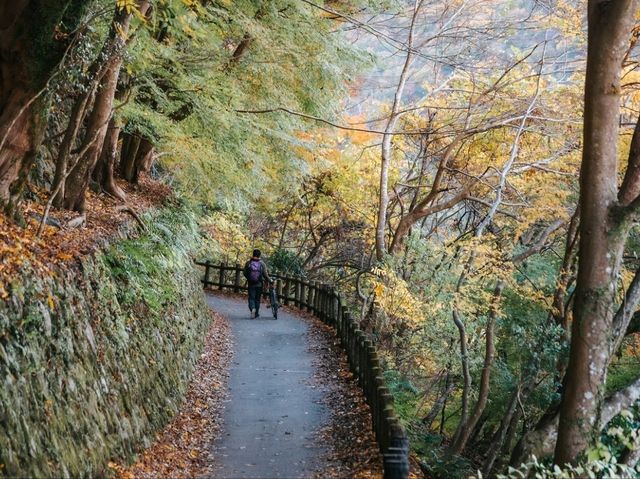 Arashiyama