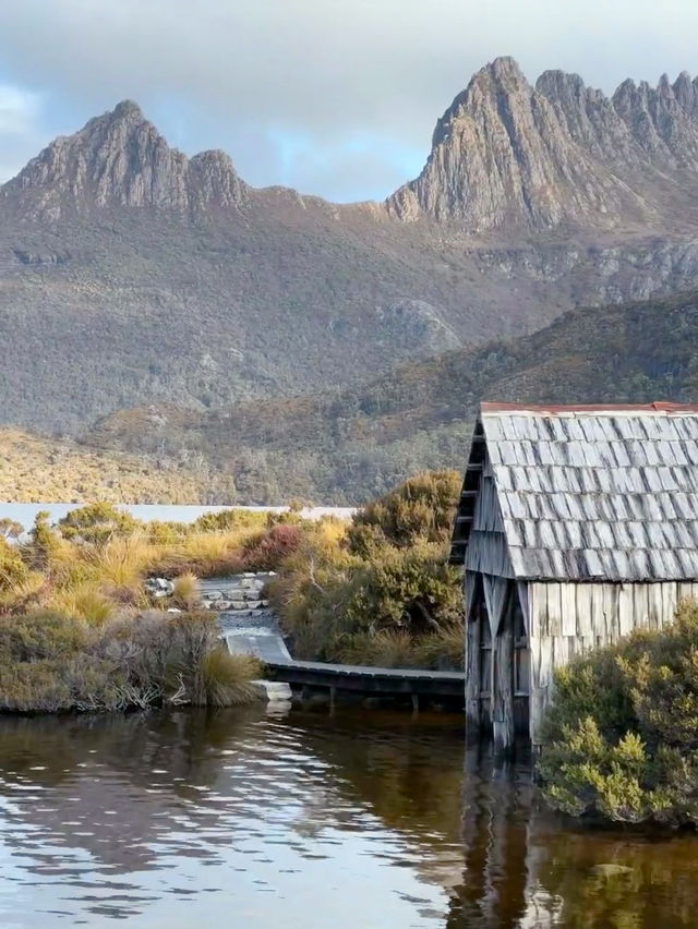 Immersed in Nature: My Scenic Adventure on the Dove Lake Circuit Walk