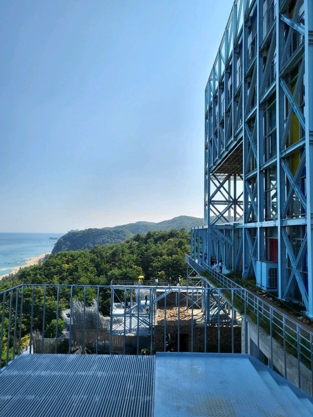정동진 바다뷰와 함께하는 예술공원