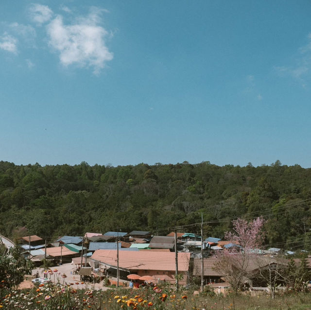 หนึ่งในหมู่บ้านที่ชอบที่สุด 'บ้านร่องกล้า'  🌸🌳