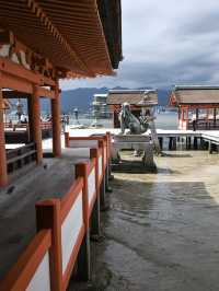 【広島】広島の絶景、厳島神社⛩️