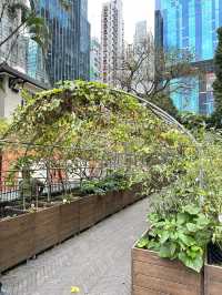🇭🇰 鬧市中的古老建築，有小植物園草地，還可以睡覺🤣
