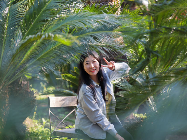쥬라기월드에 온 것 같은 이국적인 제주 상가리 야자숲🌴