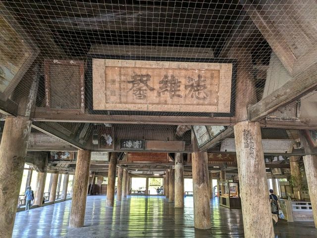 Miyajima Trip Highlights