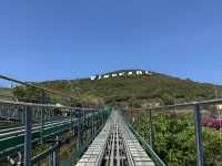 Alpine Coaster Vinpearl Nha Trang