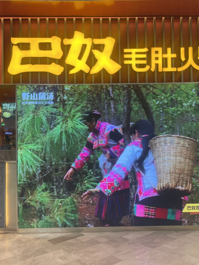 深圳探店｜必試健康養生嘅火鍋界一哥