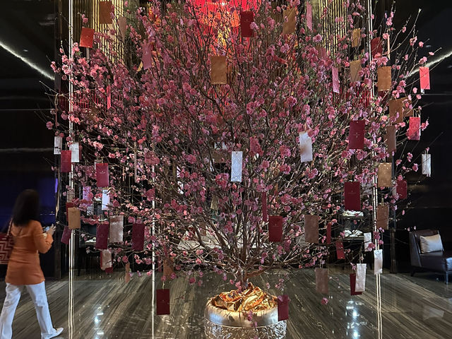 香港🇭🇰過ごしやすいシーズン✨