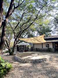 พาไปเสพงานอาร์ต งานศิลป์ ชิมกาแฟ ที่ลำปาง