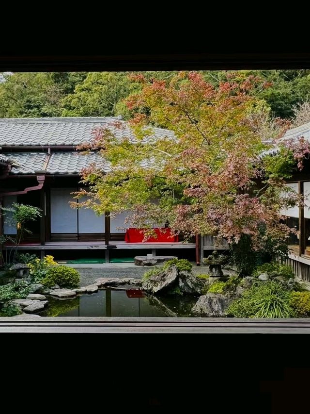 📍Kagoshima
