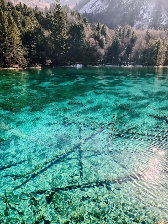 四川九寨溝‐一生人必去的旅遊勝地，打卡超出片！📷 實在是太美了🤩