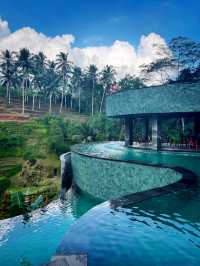Gorgeous Pool overlooking Paddyfield 