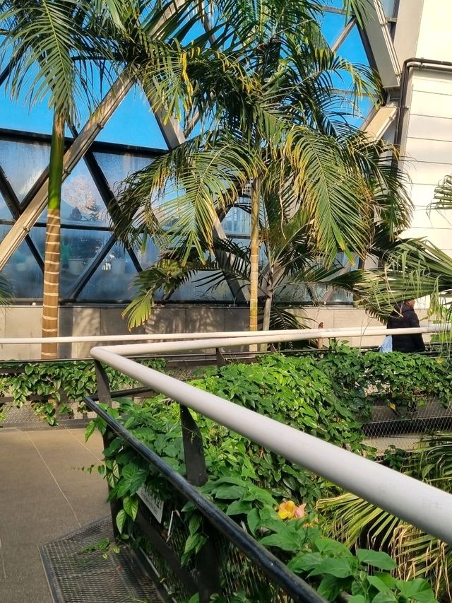 한겨울에도 따뜻한 힐링! 🌿☀️ 