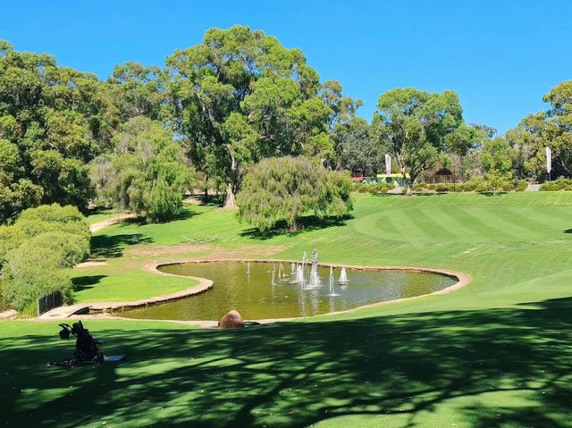 Kings Park and Botanic Garden in Perth