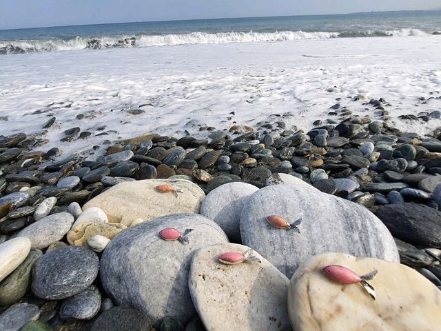 漫步〔七星潭〕花蓮最療癒的海岸風光