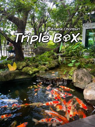 카페는 폭포, 나무, 그늘, 자연으로 장식되어 있습니다. 🌳🍃