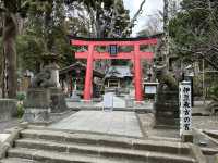 伊豆最古老的靈地——白濱神社探訪體驗