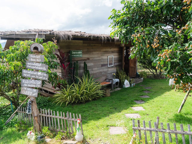 ฮักเขา ณ แม่แจ่ม เชียงใหม่🪵🌲🌳🌧️