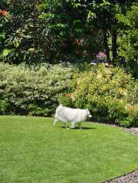 tavy's home : บางจาก