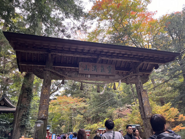 高尾山で紅葉狩り@東京・八王子🍁
