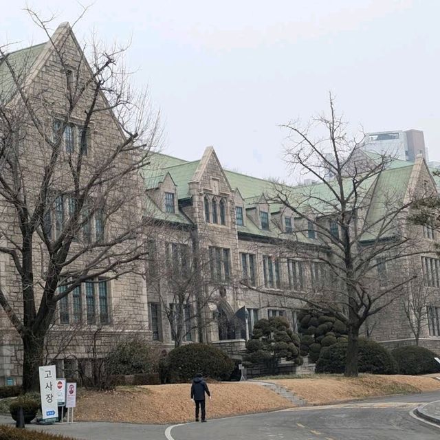 Ewha Womans University & Shopping Street (梨花女子大學與購物街)
