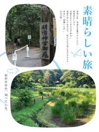 明治神宮內有乾坤👣園中園