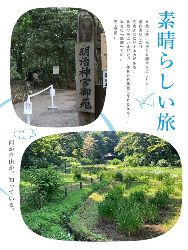 明治神宮內有乾坤👣園中園