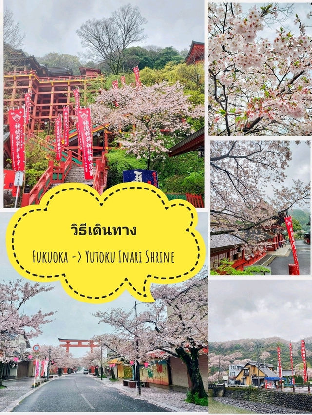 วิธีเดินทาง : Fukuoka -> Yutoku Inari Shrine